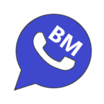 BMWhatsApp iOS icon