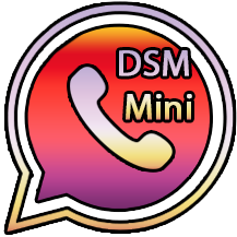 DSM WhatsApp Mini 