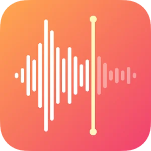 Voice Recorder