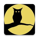 Night Screen  