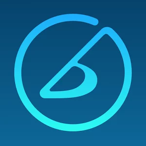 iReal icon